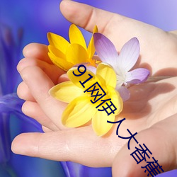 91网(wǎng)伊(yī)人大香蕉