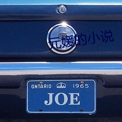 元媛的小说