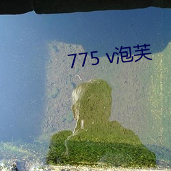 775 v泡(pào)芙