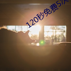 120秒免費5次試看