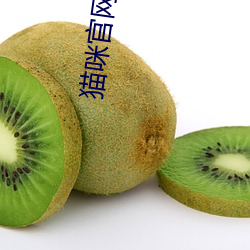 猫(貓)咪官网首页