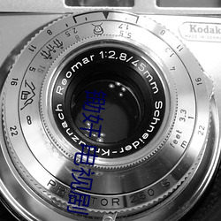 锄(ch)奸(jin) 电视剧