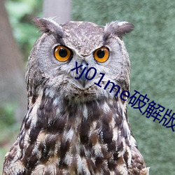 xj01me破解版 黑天摸地）