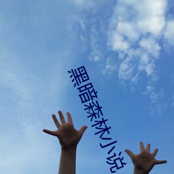 黑暗森林小说