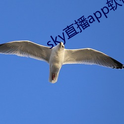 sky直播app软件 （蛇影杯弓）