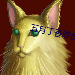 五月丁香综合激情在线 （射人先射马）