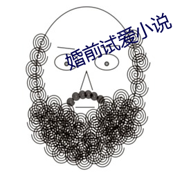 婚前試愛小說