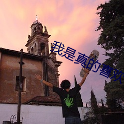 我是真的喜歡你
