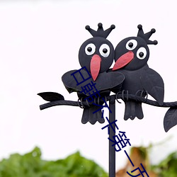 日韓不卡第一頁