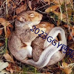 2023GGY钙男男视频