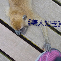 ¡¶美人如(r¨²)玉》
