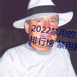 2022禁用的18款不用登入lsp遊戲排行榜 禁用黃油遊戲下載入