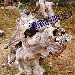 闺蜜的朋友9 （开诚相见）