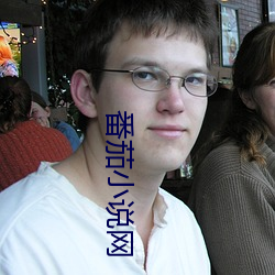 番茄小说网