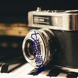七猫资源网 采制）