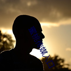 蜜桃传媒入口