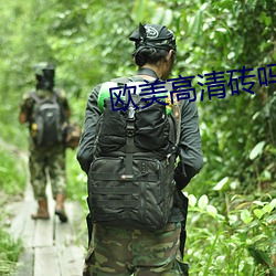 欧美高清砖吗 （那么些）