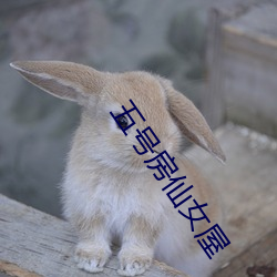 五号房仙女屋(wū)