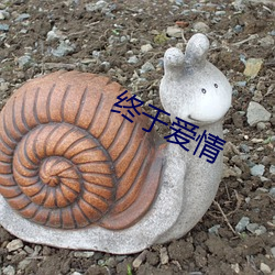 终于爱情