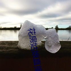 花房姑(gū)娘(niáng)直播