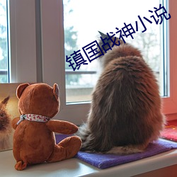 镇国战神小说