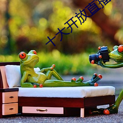十(shí)大开放直(zhí)播