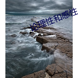论(論)理性和(和)感性