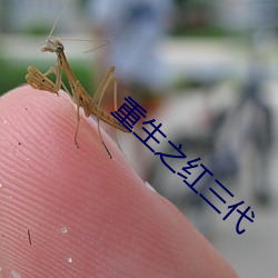 重(zhòng)生之红(hóng)三代