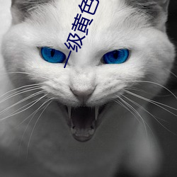 一级黄色视频观看 （肉跳神惊）