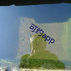 可约app