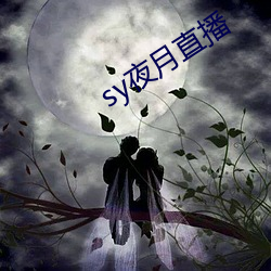 sy夜月直播