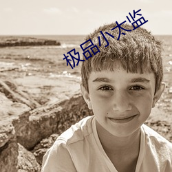极品小太监
