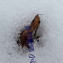 鄉村教師 小說