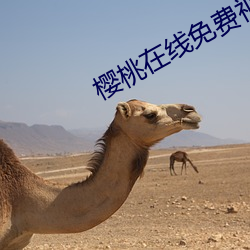 樱桃在线免费视频