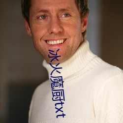 冰火魔厨txt