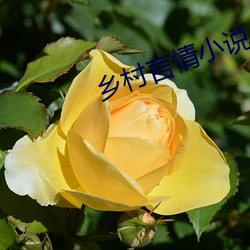 suncitygroup太阳集团--官方网站