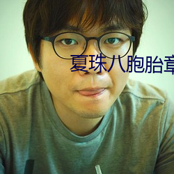 夏珠八胞胎章节目录