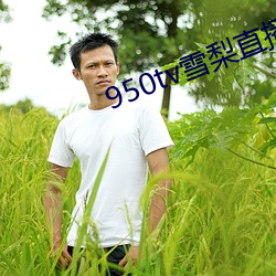 950tv雪梨直播 （一钱如命）