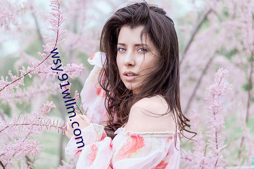 wsy.91wllm.com