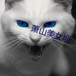 萧山美女坝 （锦缎）