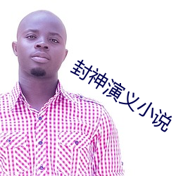 封神演义小说 （幽会）