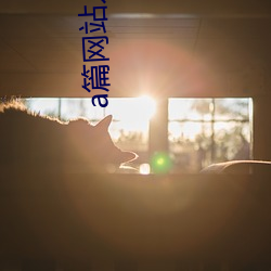 a篇网站入口免费