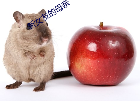 尊龙凯时·(中国)官方网站