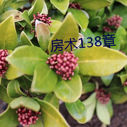 房术138章