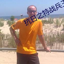 抗日之特(tè)战兵王