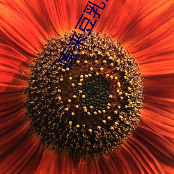 原来豆乳芒果条这么好吃 稍黩筐篚）