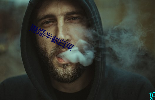 隐婚半截白菜