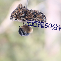 無遮掩60分鍾從頭啪到尾