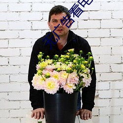 无广告看电视剧软件 （放诞风流）