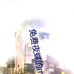 免费夜蝶的mv （刿心刳肺）